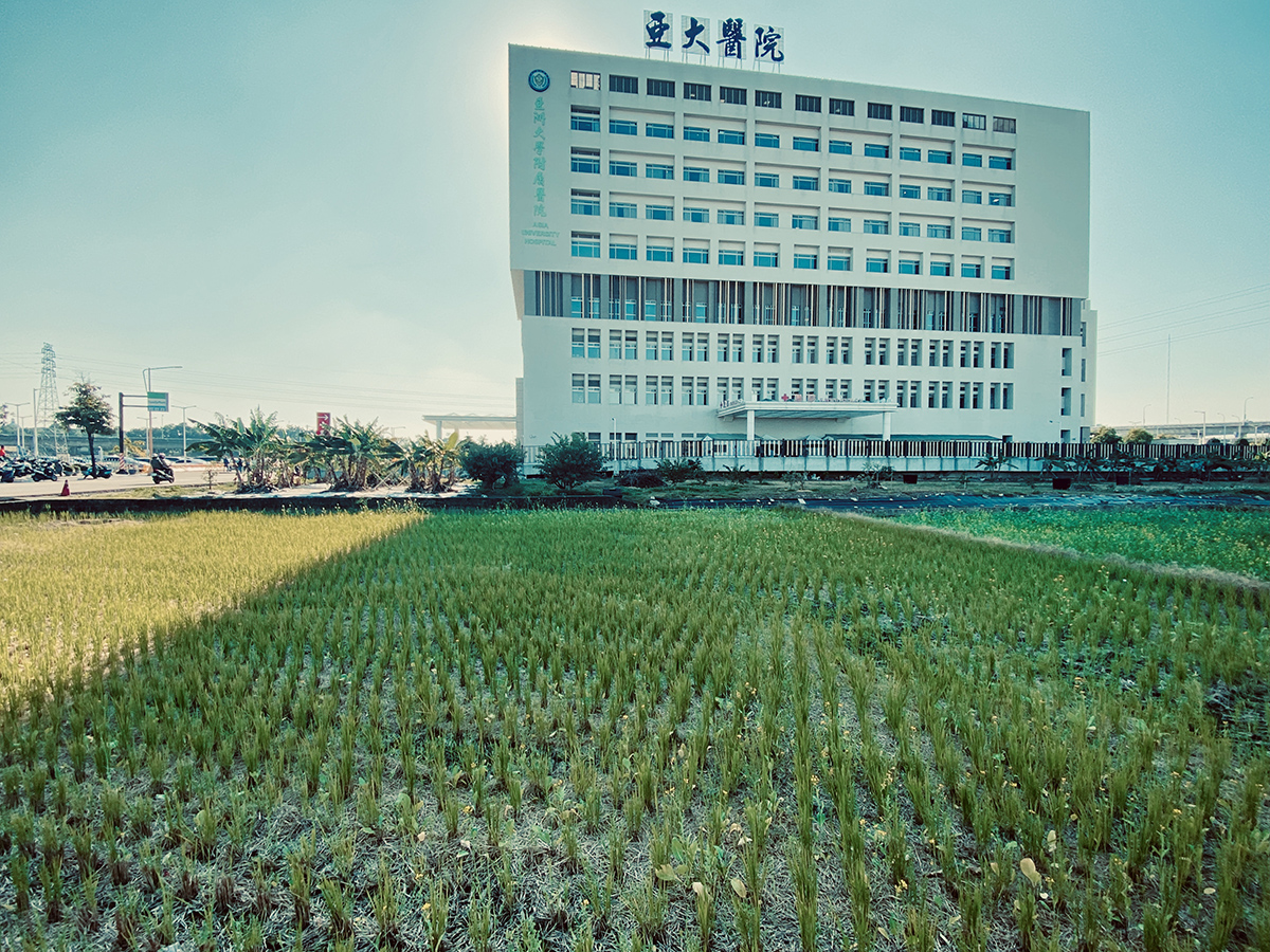 當貨櫃與咖啡遇見花海--1k微旅行