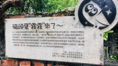 走入光復新村，來趟尋覓貓頭鷹之旅。